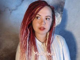 Mollybuls