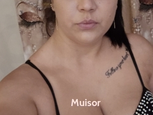 Muisor