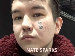 NATE_SPARKS