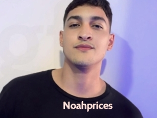 Noahprices