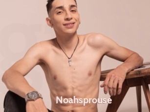 Noahsprouse