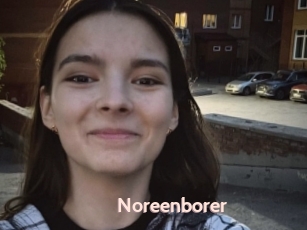 Noreenborer