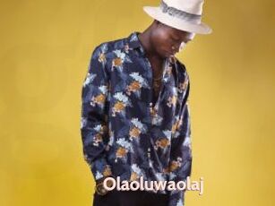 Olaoluwaolaj