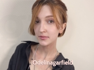 Odelinagarfield