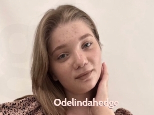 Odelindahedge