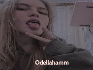 Odellahamm