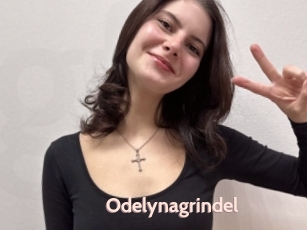 Odelynagrindel