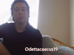 Odettacaecus19