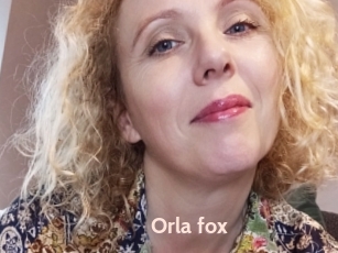 Orla_fox