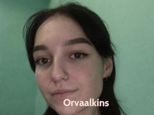 Orvaalkins