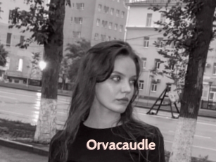 Orvacaudle