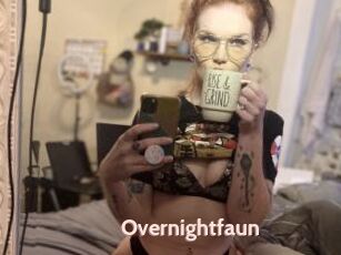 Overnightfaun