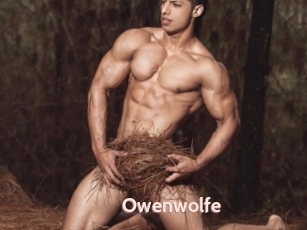 Owenwolfe