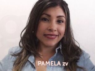 PAMELA_zv