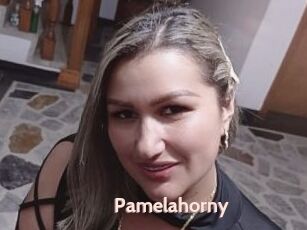 Pamelahorny