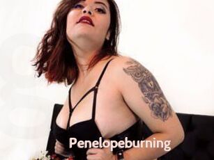 Penelopeburning