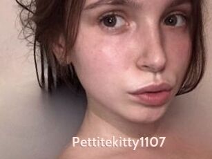 Pettitekitty1107