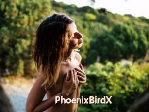 PhoenixBirdX