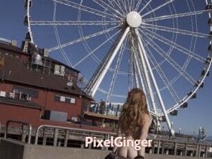 PixelGinger