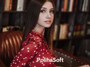 PolinaSoft