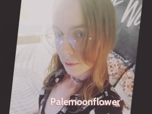 Palemoonflower