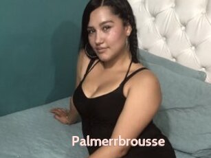 Palmerrbrousse