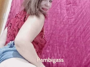 Pambigass