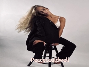 Peacecauldwell