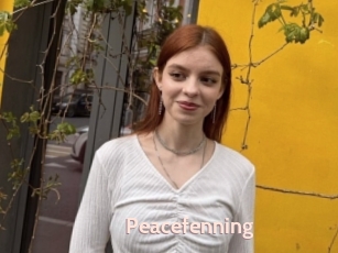 Peacefenning