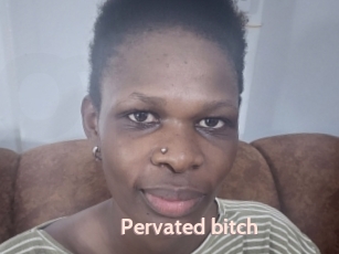 Pervated_bitch