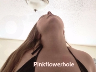 Pinkflowerhole