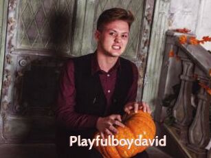 Playfulboydavid