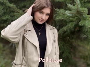 Pollerose