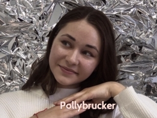 Pollybrucker