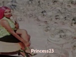 Princess23