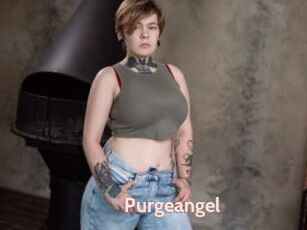 Purgeangel