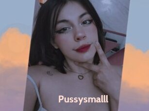 Pussysmalll