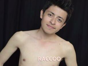 RACCOO