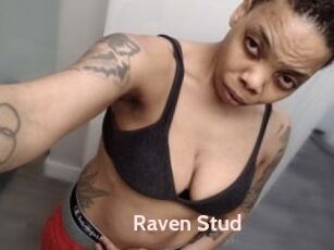 Raven_Stud