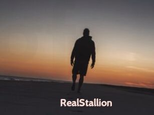 RealStallion