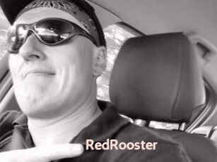 RedRooster