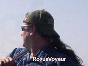 RogueVoyeur