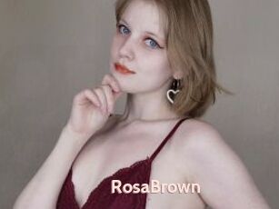 RosaBrown