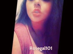 Rosegal101