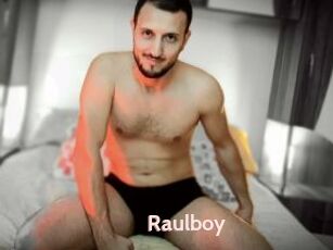 Raulboy