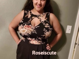 Roseiscute