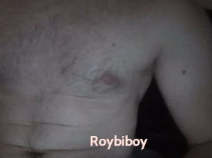 Roybiboy