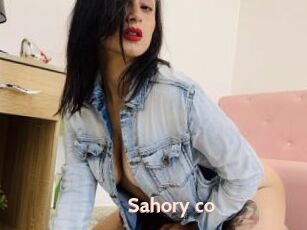 Sahory_co