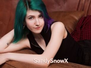 SandySnowX