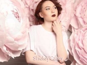 SheleyCarey